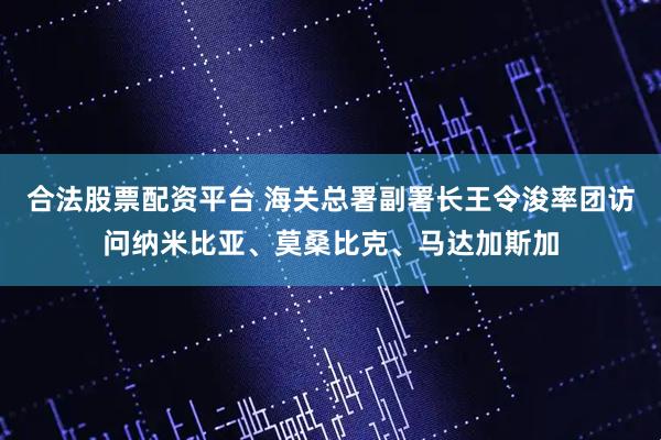 合法股票配资平台 海关总署副署长王令浚率团访问纳米比亚、莫桑比克、马达加斯加